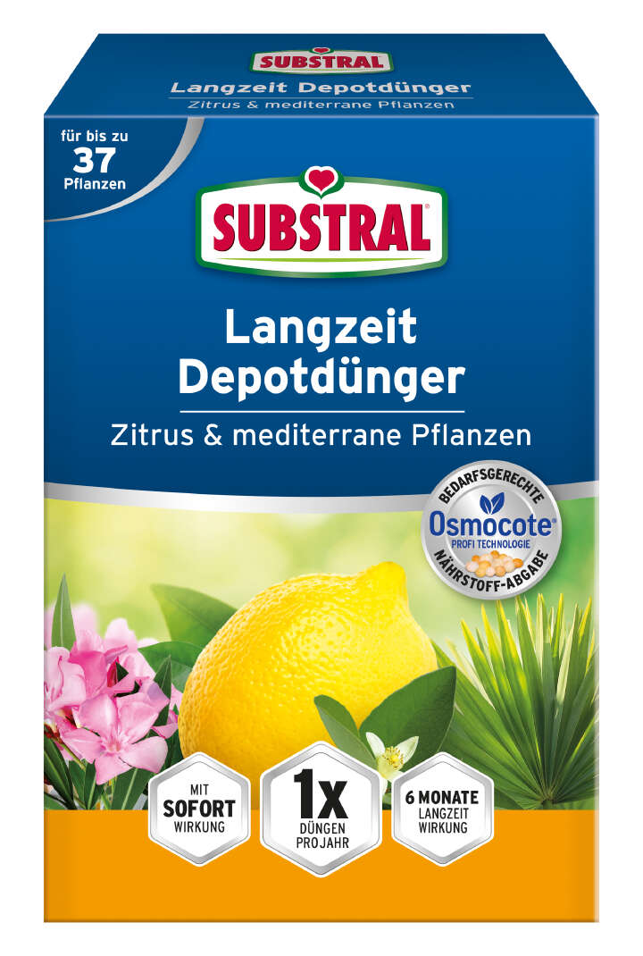 SUBSTRAL Langzeit Depotdünger Zitrus & mediterrane Pflanzen